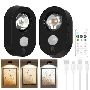 HEDCINLT Rechargeable 2-LED Wireless Mini Spotlight, Dimmable Uplight with Timer Remote & Auto Shut-Off, Adjustable Indoor Accent Light for Artwork, Closets, Indoor Spaces