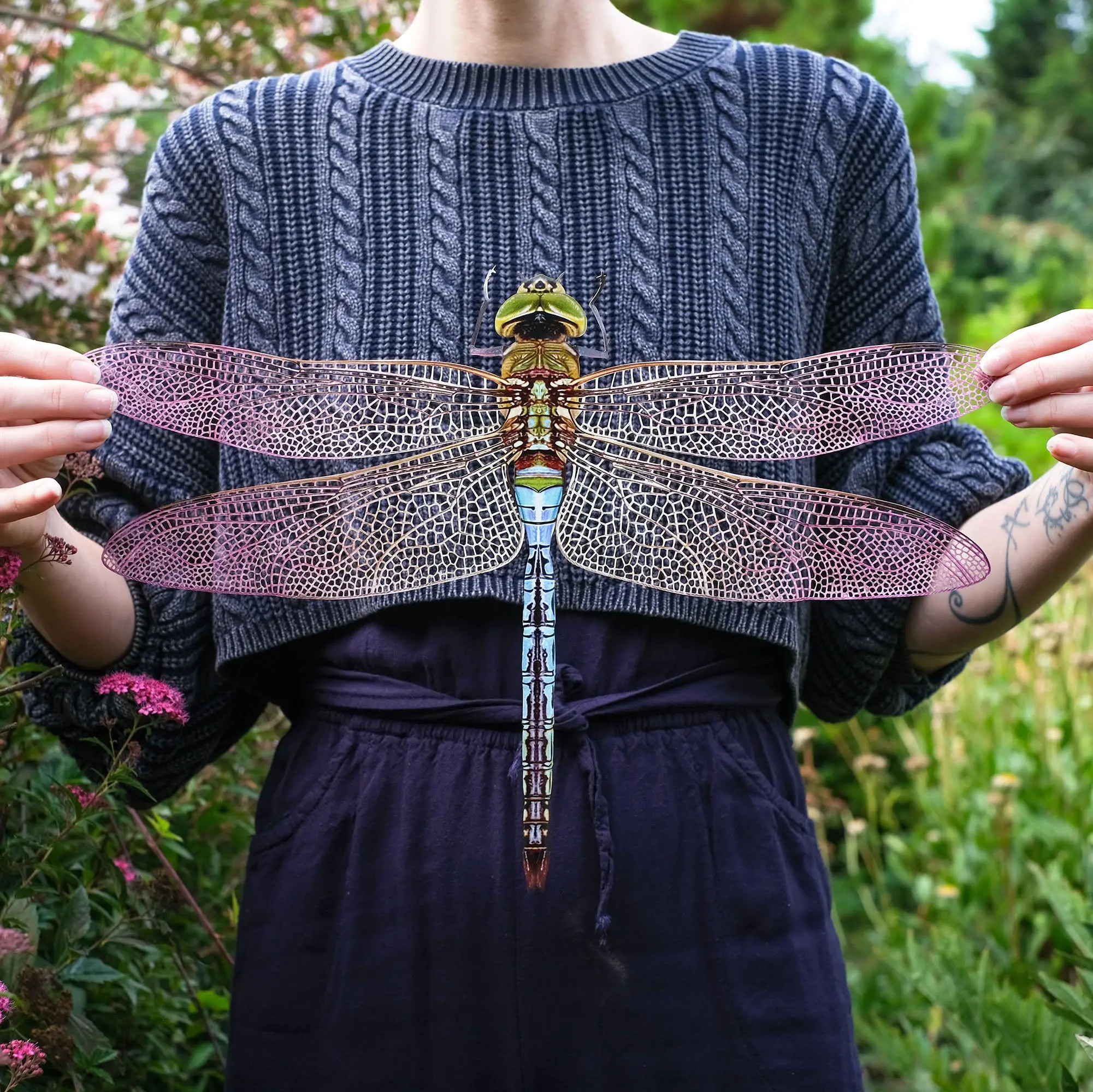 'Giant Dragonfly'