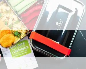 Silicone Bands for Lunch Boxes - Set of 2