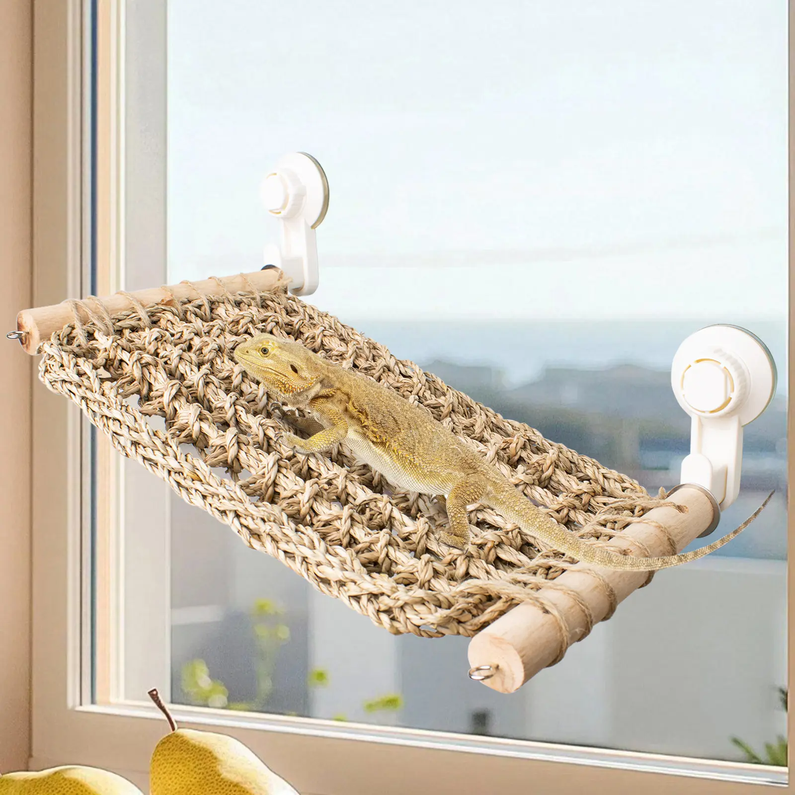 Natural Wood Seagrass Reptile Hammock Perch - 13.3x7.8in Window Perch with Powerful Cups, Comfortable Reptile Tank Accessory for Bearded Dragons, Leopard Geckos, Reptile Tank Accessories, Sunbathing Spot