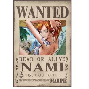 One Piece Nami Wanted Poster Anime Straw Hat Pirates, Anime Gifts Decoration Posters Print Room