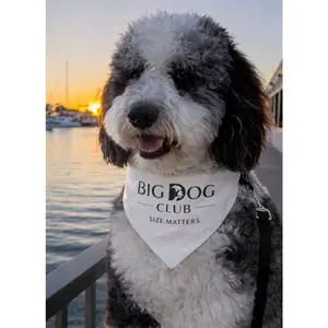 Big Dog Club Bandana Collar — "Size Matters" Pet Bandana