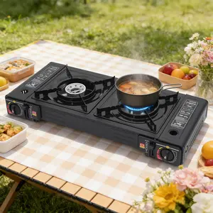 2 Burner Portable Camping Stove 5000W with Carrying Case for Picnic RV