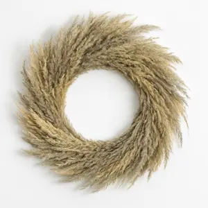 16" Preserved Pampas Grass Wreath