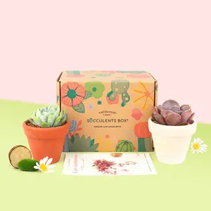 Gift 2 Succulents 2 Clay Pots/ month - 12 month Subscription  Auto renew