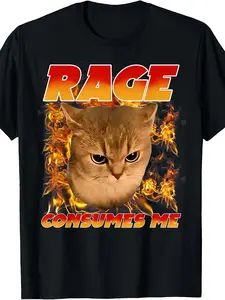 Rage Consumes Me Cat Meme Internet Memes Funny Mem