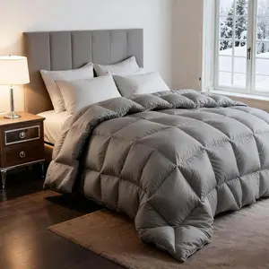 Grey  Down Comforter  Size, Ultra-Soft Breathable Comforter High Fill Power Grey Duvet Insert, Season Hotel Luxury Bedding Comforters 8 Corner & Center Loops,Baffle Box Design