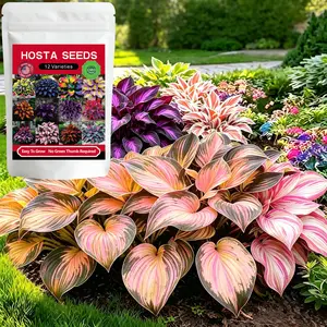 Hosta Seeds 12 Varieties 12000+Pcs hosta seed, Perennial Shade-Tolerant Flowers for Outdoor Garden, Home Containers & Ground Cover