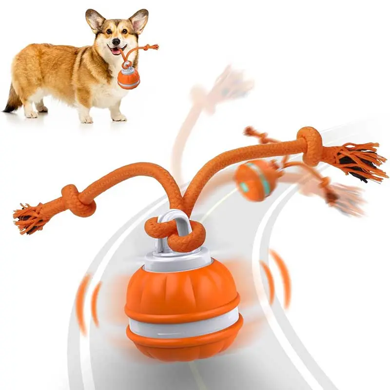 Interactive Training Dog Ball - Motion Sensor, Solid Construction, Built-in Rechargeable Battery, USB Charging, Automatic Rolling, Exercise Booster for Puppies & Small Dogs, Interactive Training Ball