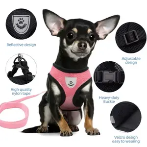Adjustable Cat Harness Vest and Leash Set – Soft Mesh Pet Harness for Small to Medium Dogs and Cats – Breathable, No-Pull Design for Safe Outdoor Walking