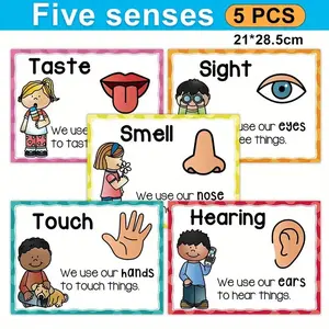 Five Senses Posters Set, Frameless Educational Charts, Ideal for Classrooms, Libraries, Game Rooms, Student and Teacher Learning Materials