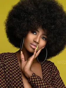 Afro Wig 70's For Women Natural Black Curly Wigs Large Bouncy And Soft Natural Looking Full Wigs For Daily Party Cosplay Costume Halloweeen And Christmas