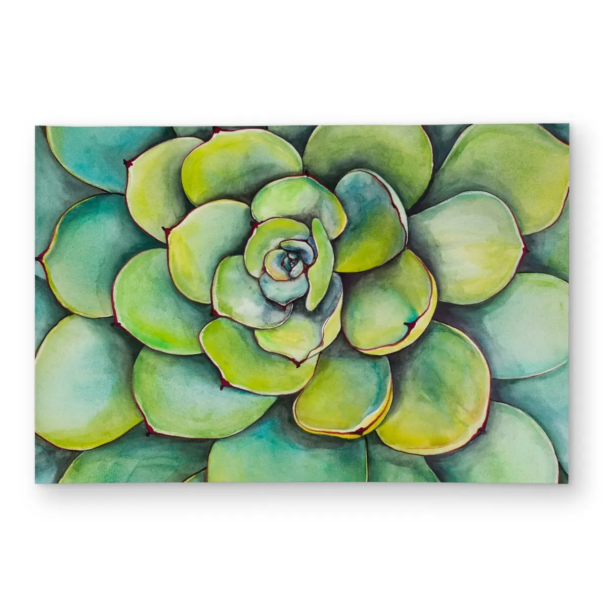 Begin Home Decor C1ROAR46P80PJJ 4x6 ft. Polyester Watercolor Succulents Home Decorative Rug - Indoor Area Rugs, Living Room Decor, Rectangle