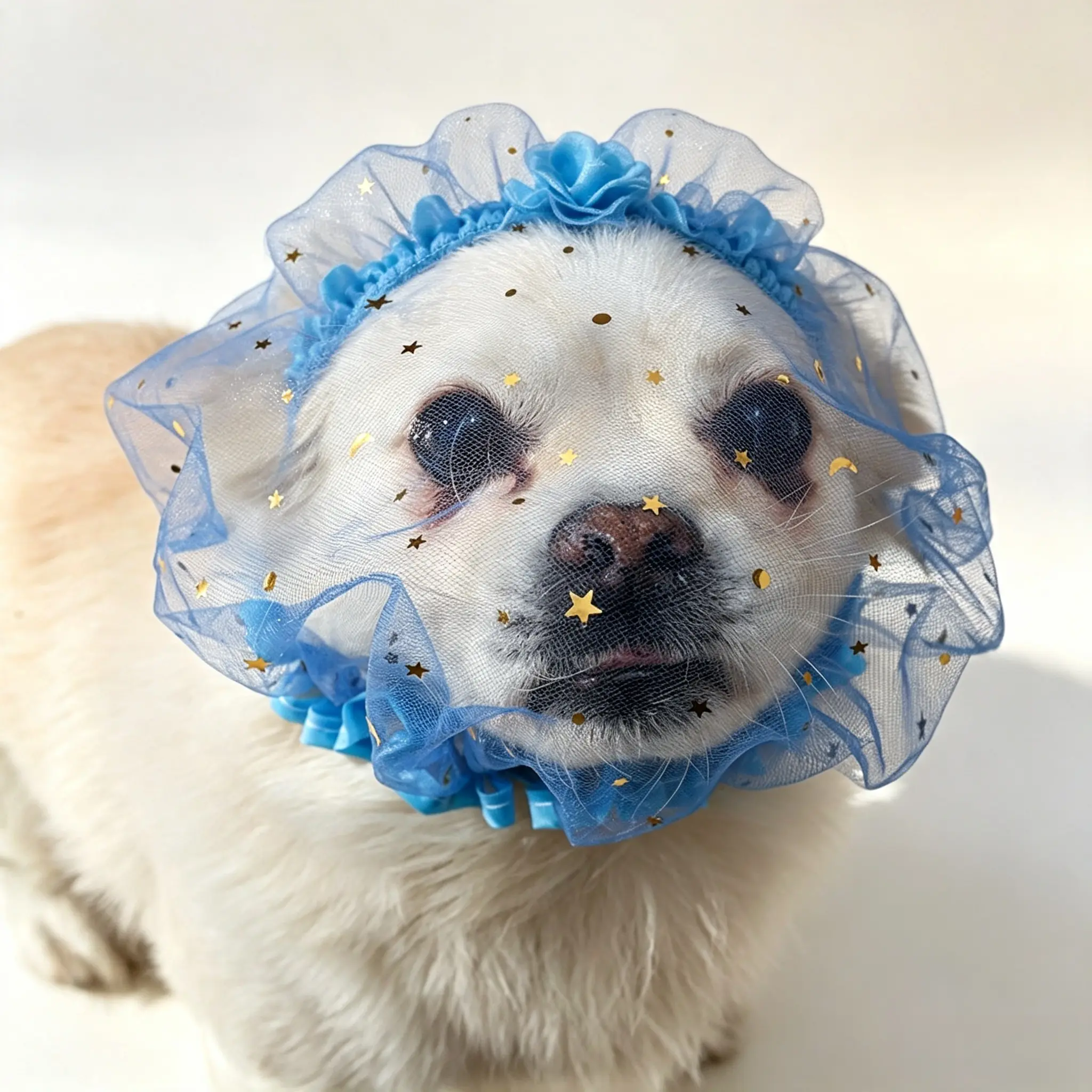 Mesh Dog Muzzle for Small-Medium Dogs, Breathable Pet Recovery Face Cover to Prevent Licking, Foreign Object Ingestion During Outdoor Walks
