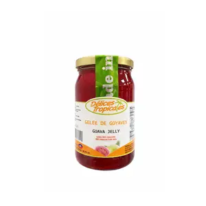 DELICES TROPICALES CONFITURE DE GOYAVES 19.75OZ