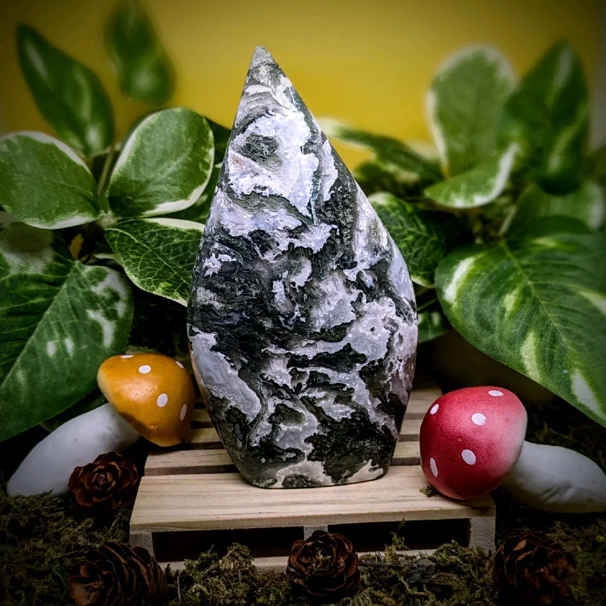 Moss Agate Freeform