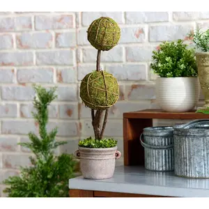 Cozy Cottage by Liz Marie Double Ball Topiary with Pot