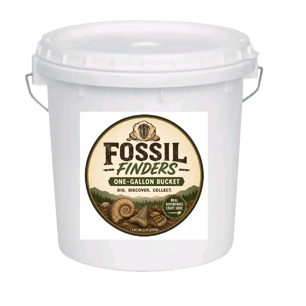 Fossil Finders Bucket