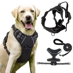 Dog hardness + leash with 2 leash clips no - pull reflective vest S,M,L