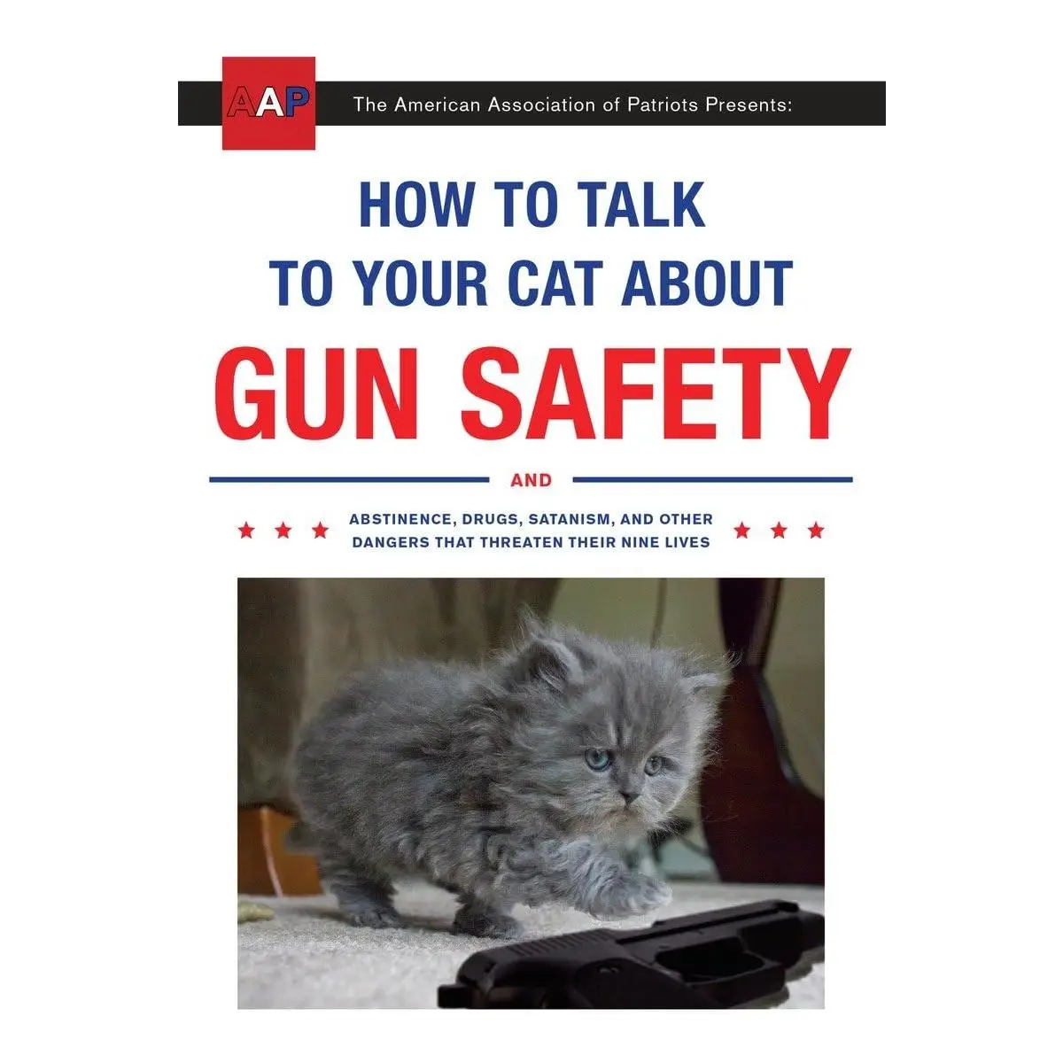 How to Talk to Your Cat about Gun Safety: And Abstinence, Drugs, Satanism, and Other Dangers That Threaten Their Nine Lives -- Zachary Auburn - Paperb