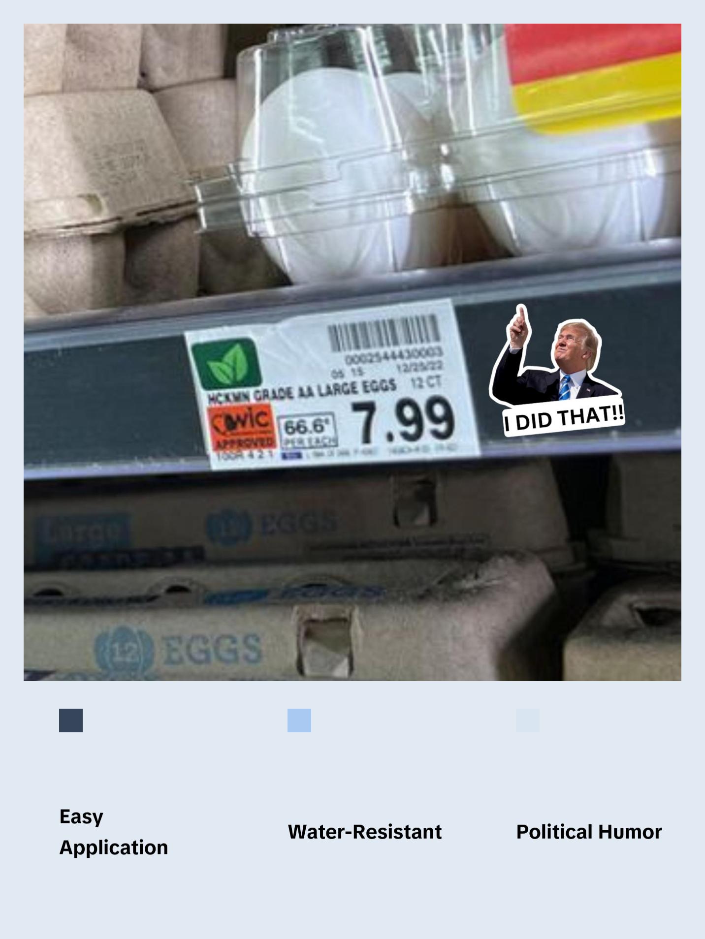 I Did That Trump Sticker | Pointing Sticker | Vinyl Sticker | Water Resistant | 1.5" x 1.5" | Anti Trump | Meme Sticker | Fdt