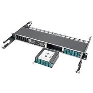 Tripp Lite N484-1M24-LC12 100g 120g 10g Breakout Cassette
