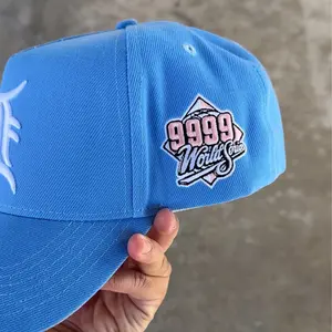 COTTON CANDY REMASTERED BACKWARD LETTER D 9999 WS HAT SEUDE UV SNAPBACK