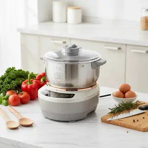 Stainless Steel Electric Small Household Fully Automatic Bowl-Lift Design Dough Kneading Leavening Mixer