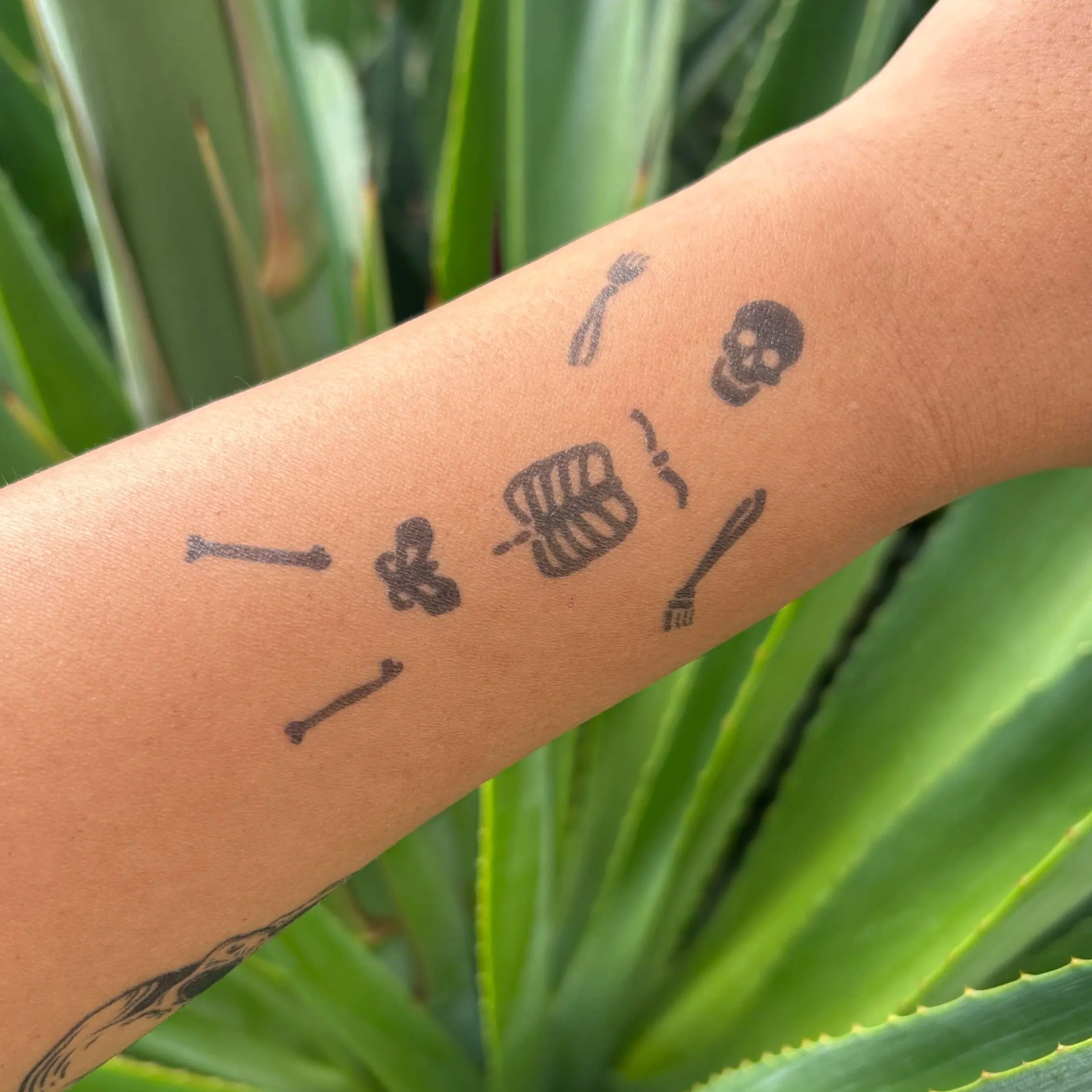Spine Tattoo Skeleton Tattoo 2 Week Tattoo Semi Permanent Tattoo Vegan Tattoo Halloween Tattoo Bone Tattoo Skeleton Tattoo Festival Tattoo Gift Glossy