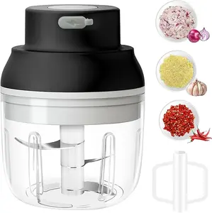 Garlic Chopper, 250ML Garlic Grinder 2 in 1 Mini Vegetable Chopper with Eggbeate, Portable Veggie Chopper, Garlic Mincer, Onion Chopper