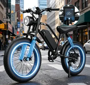 1500W motor delivers ， Removable 48V15AH battery supports two charging ways plus USB phone charging port. 5 power assist gears, front/rear brakes, ergonomic frame fits heights 5’5”-6’5”, heavy-duty 20 inch fat tires for every terrain adventure.