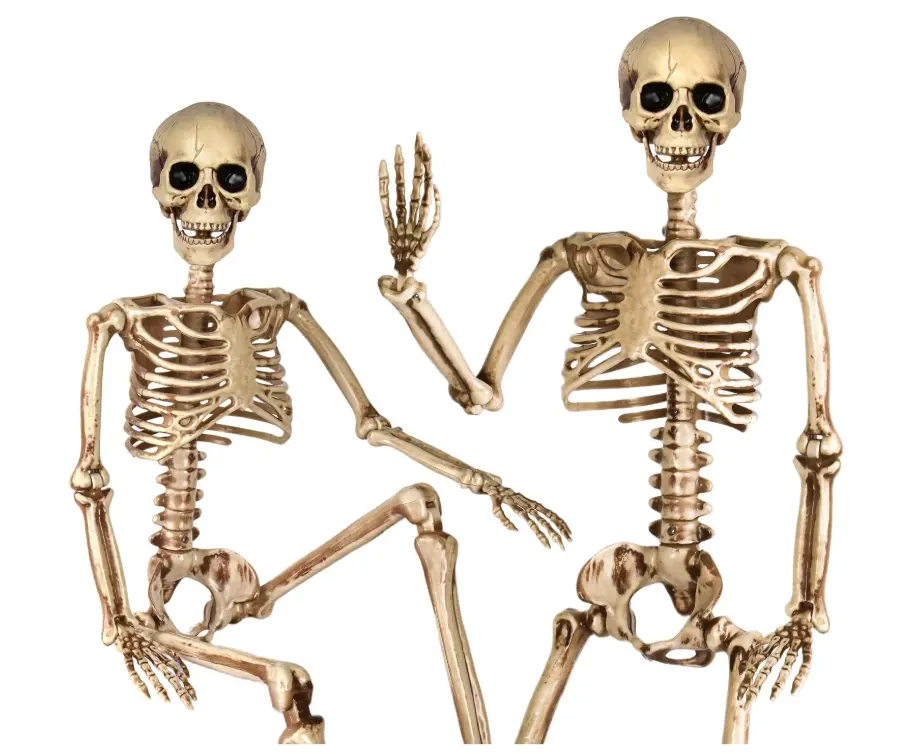 Halloween Decorations outdoor, 2Pack 36" halloween-Skeletons Decoration indoor-3ft Life Size Human Plastic Skeleton with Full Body Posable Joints for Halloween Party decorations Yard Gardon Porch Lawn