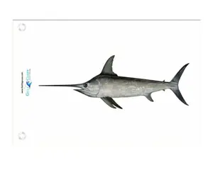 More-Realistic Sword Fish