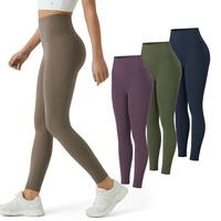 Carbon+Deep Woodland Green+Night's Purple