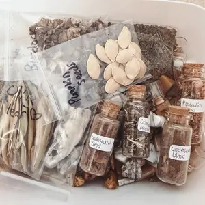 Beginner Witch Supplies Kit, Witchcraft Supplies Kit, Gifts For Witches, Spellwork Herb Blends, Green Witchcraft Kit, Sea Witch Kit