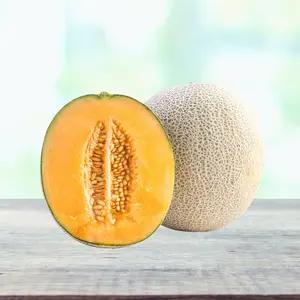 Heirloom Hales Best Jumbo Cantaloupe Melon Seeds - Organic and Regenerative Gardening Seeds