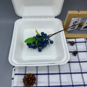 Eco-Friendly Clamshell Container 8 x 8 inch - Disposable Compostable Bio-Degradable Sustainable Food Box for Hot & Cold Meals