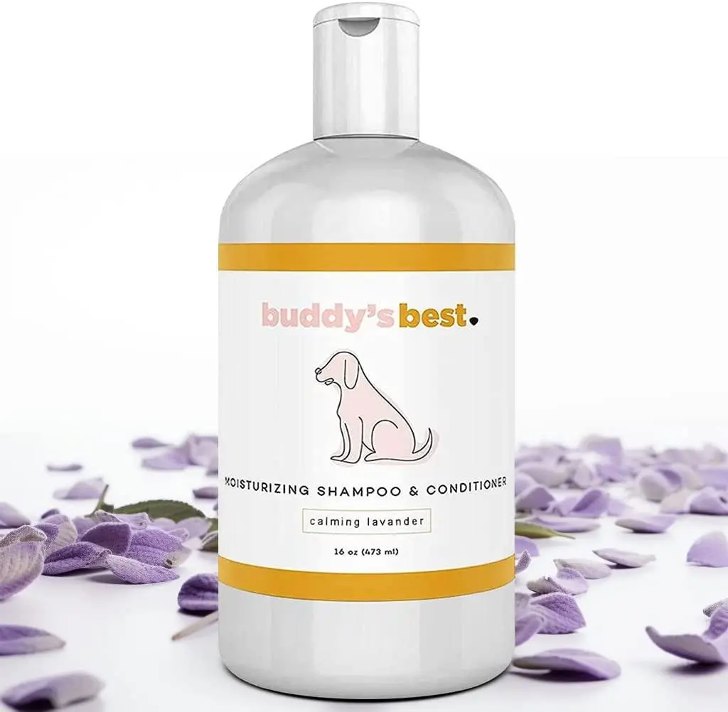 Buddy’s Best Oatmeal Dog Shampoo & Conditioner – 16 oz moisturizing, lavender-scented wash for smelly dogs with dry or sensitive skin. Buddy's Best