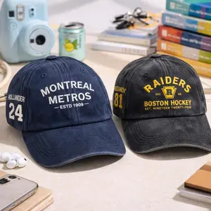 Embroidered Hockey Romance Hat, Hockey Romance LGBT Hockey Fan Gift Heated Movie Rivalry Hat, Gift For Christmas, Movie Gift, Gift For Him