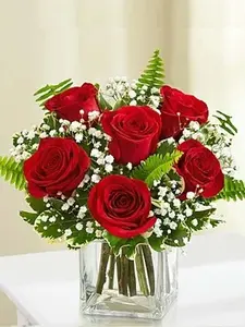 Classic Elegance Roses - Six Red