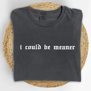 Comfort Colors I Could Be Meaner Comfort Colors Shirt, Vintage Funny Humor T-shirt, Sarcastic Graphic Tee, Funny Women Outfits, Sarcasm Clothing, Funny Gift For Her Cotton Graphic Tees Funny Shirt Tee