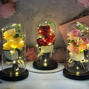 Light Up Rose Gift in Glass Dome, 1 Count Battery Powered Artificial Flower Gift with, Desktop Decoration Ornament for Home Party Wedding, Led Light String