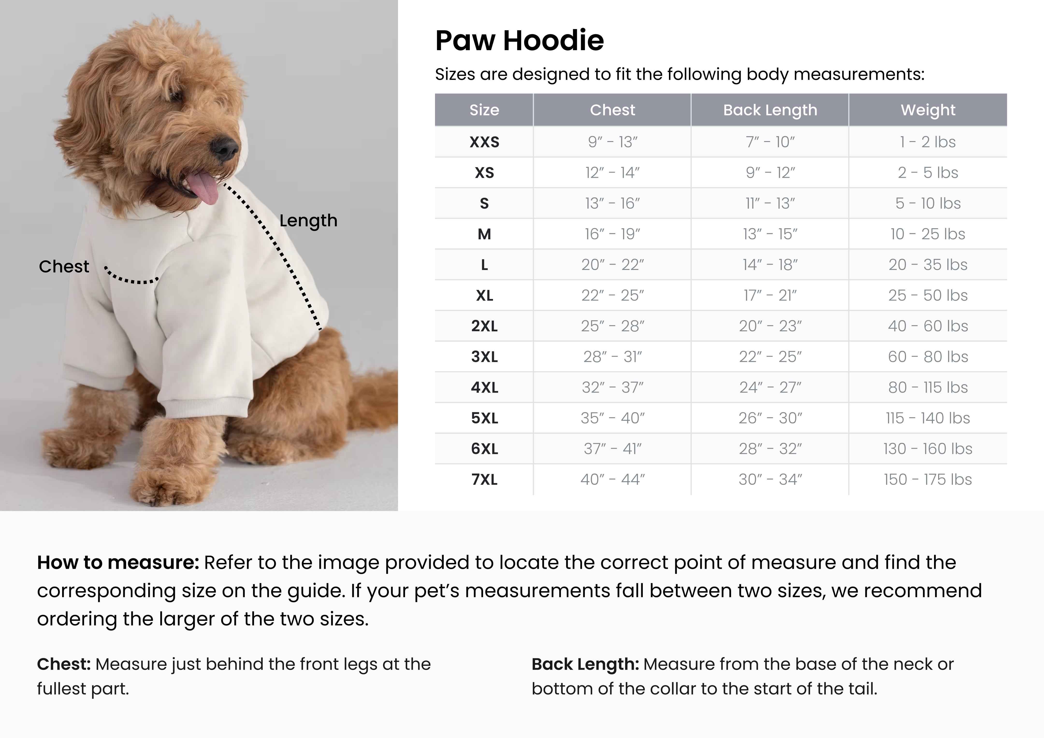 Comfrt Paws | Minimalist Hoodie