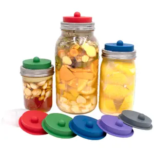 Silicone Fermentation Airlock Valve Lid With SS Band for Wide Mouth Mason Jars
