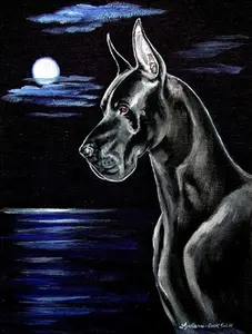 212 MAIN Moonlight Black Great Dane 100% Polyester Garden Flag - Double-Sided 11x0.01x15 in, 0.19 lbs Outdoor Flag for Boating, Water Sports
