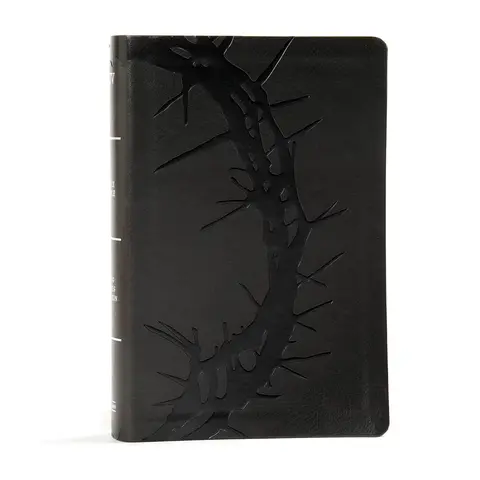KJV Large Print Personal Size Reference Bible, Charcoal LeatherTouch Crown of Thorns, Indexed, KJV Holy Bible, Red Letter, Pure Cambridge Text, Presentation Page, Cross-References, Full-Color Maps Imitation Leather