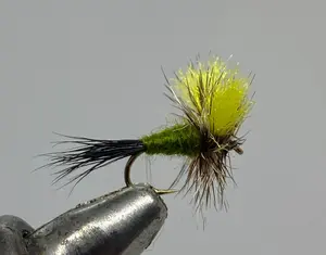 One Dozen (12) - Mr. Rapidam Wulff - Olive - Dry Fly