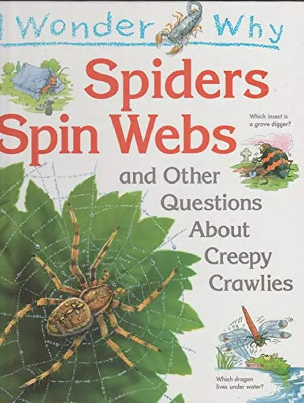 USED Book - Spiders Spin Webs & Other Questions About Creepy Crawlies. by Amanda O'Neil (Hardcover)