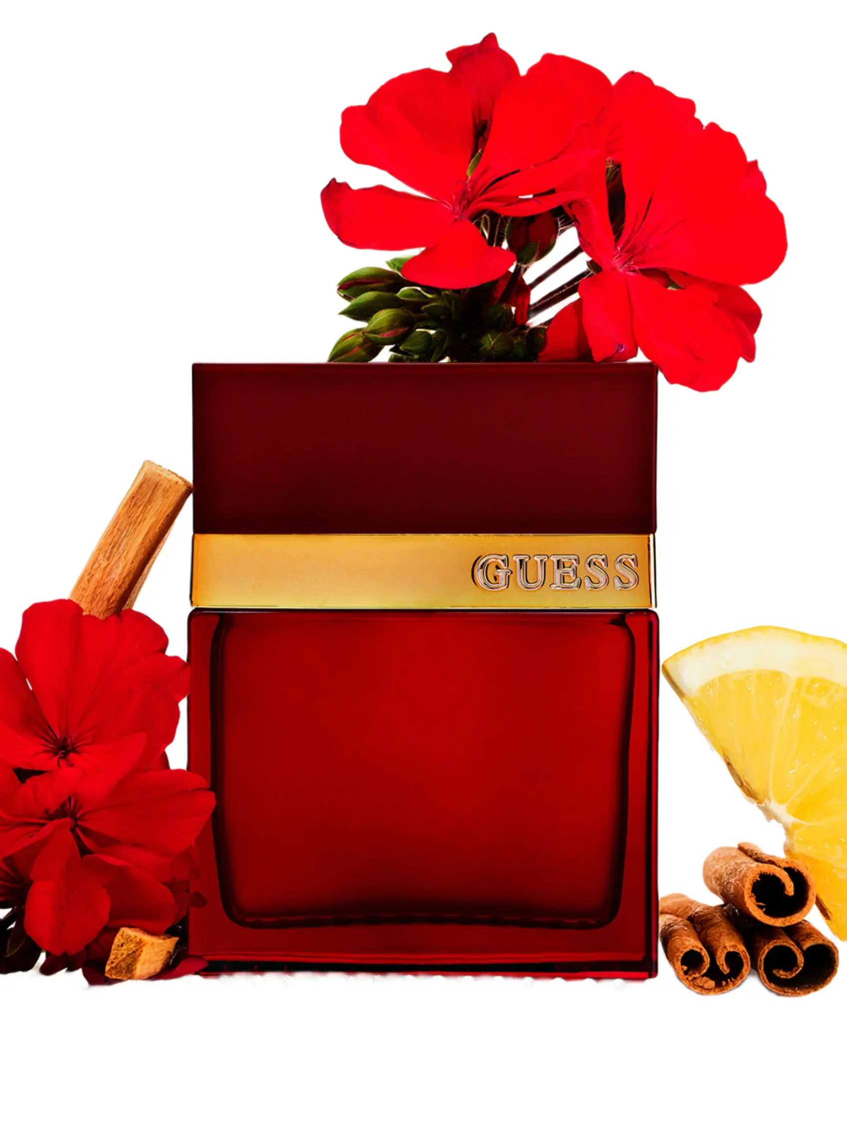 GUESS Male GUESS Seductive Red for Men Eau de Toilette, 3.4 oz