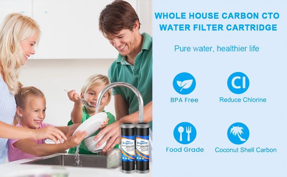 [Spring Savings] 4 Pack 5 Micron CTO Whole House Water Filter Replacement Cartridge 10"x2.5" | Universal Fit Top Models
